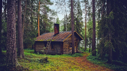 log cabin sealer