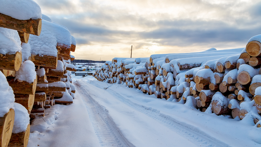 UC Coatings | Protecting Lumber And Logs During Winter